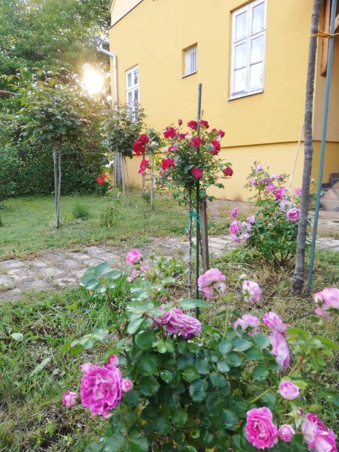 Appartement Szorcsik Haz 1913 à Senta Extérieur photo